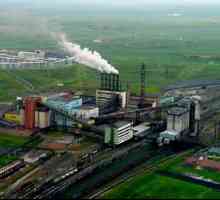Качеството на въглищата в басейна на въглищата "Печора", нейните потребители, резервите.