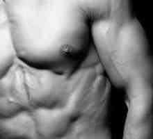 Колко бързо можете да спечелите мускулна маса