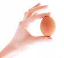 Колко бързо да почистите яйцата, като инвестирате в рамките на няколко секунди?