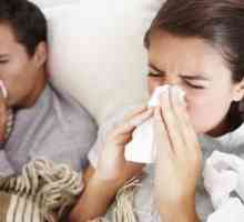 Колко бързо да се лекува грип у дома? Народни средства за защита. лечение