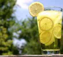 Как да си направим лимонада у дома? Много интересни рецепти