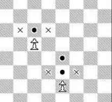 Как се движат шахматните фигури: характеристики на движенията
