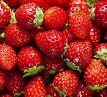 Как да съхранявате ягоди у дома: Преглед на начините и препоръките