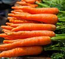 Как да съхраняваме моркови вкъщи