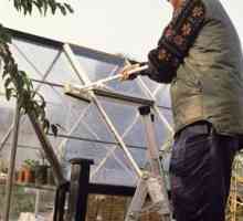 Как и какво да обработваме една поликарбонатна оранжерия през есента