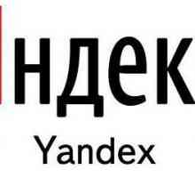 Как да идентифицирате портфейла Yandex: характеристики, най-добри практики и препоръки
