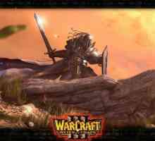 Как да играете Warcraft 3 онлайн: Инструкция