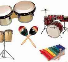 Как се използват ударни инструменти в музиката? Музикален инструмент за деца от групата барабани