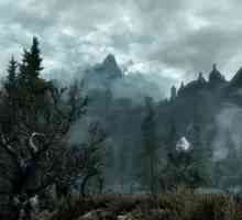 Как да намерите Dragon Stone в Skyrim?