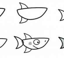 Как да нарисувате акула: майсторски класове за различни възрасти