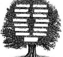 Как да се направи родословно дърво: практически съвети