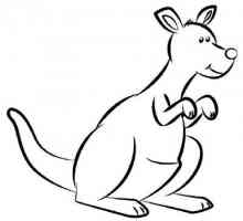 Как да се направи кенгуру в молив стъпка по стъпка?