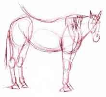 Как да нарисуваме кон с обикновен молив