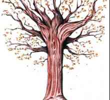 Как да нарисуваме есенно дърво на етапи