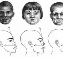 Как да нарисуваме профил на лице на момиче, дете и възрастен мъж