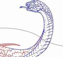 Как да нарисувате змия и как да го разберете по-добре