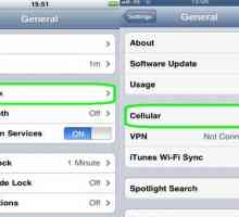 Как да настроите интернет на iPhone 5S: стъпка по стъпка инструкции, функции и препоръки