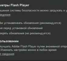 Как да актуализирате Flash Player: няколко типични ситуации