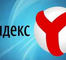 Как да изчистите историята в `Yandex` (` Android`): съвети и трикове
