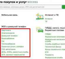 Как да платите сметки за комунални услуги чрез онлайн Sberbank: стъпка по стъпка ръководство