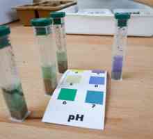 Как да се определи киселинността на почвата на собствения си обект