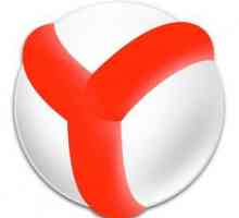 Как да деактивираме рекламата в Yandex.Browser? Какво трябва да направя, ако в браузъра се покажат…