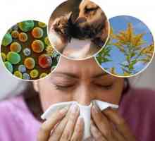 Как да различаваме алергията от настинка - каква е разликата