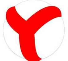 Как мога да почистя кеша на браузъра на Yandex? Какво се съхранява в кеша и къде се намира?