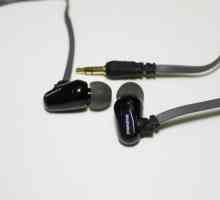 Как да почистите слушалките от сяра? Слушалки за IPhone: правила за полагане на грижи