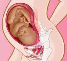 Как да се подготвите за раждането на шийката на матката. Различни начини