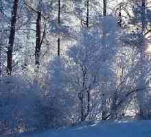 Как да подготвим ученици от 6-ти клас за състава и описание на зимната гора?
