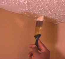 Как да нарисувате тавани с водна боя: характеристиките на процеса