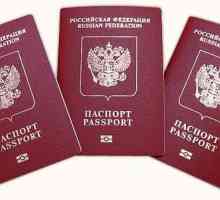 Как да получите паспорт чрез интернет: стъпка по стъпка инструкции и препоръки