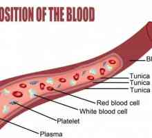 Как да се намалят тромбоцитите в кръвта?