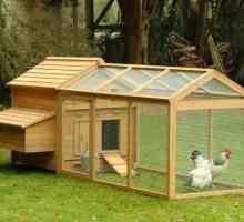 Как да се изгради къща за пилета?