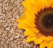 Как да изпържим семена в микровълнова печка - бърза и вкусна