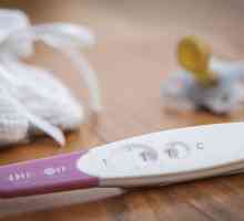 Как да направите тест за бременност: Инструкция