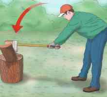Как правилно да сече дърво: оборудване и инструкции