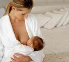 Как да нахраним бебето с кърма? Съвети за младите майки