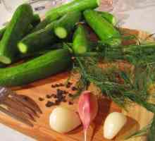 Как да се приготви саламура за леко осолена краставица? Най-добрите рецепти за домакини