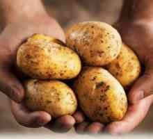 Колко правилно да се изчисли, колко килограма картофи в кофа?