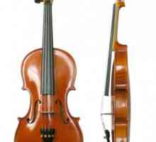 Как се справя цигулката