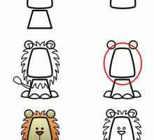Как да нарисуваме лъв? Анализ на структурата на тялото и инструкции стъпка по стъпка