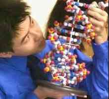 Как да направите ДНК анализ?