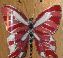 Как да направите пеперуда от пластмасова бутилка: инструкция