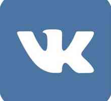 Как да гласувате в "VKontakte" (отворен и анонимен). Защо са необходими анкети?