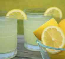 Как да направите лимонада у дома: съвети за готвене