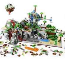 Как да направите Meincraft от Lego: съвети и трикове