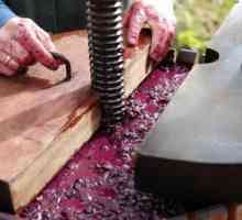 Как да направите преса за грозде със собствените си ръце?
