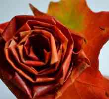 Как да направите рози от кленови листа прекрасно?